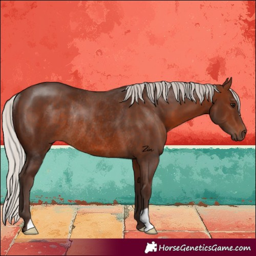 Horse Color:Silver Brown Rabicano