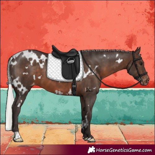 Horse Color:White Spotted Silver Brown Varnish 