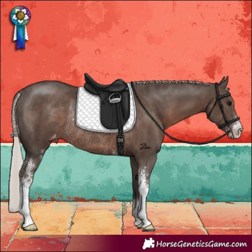 Horse Color:Silver Black Sabino Varnish Rabicano