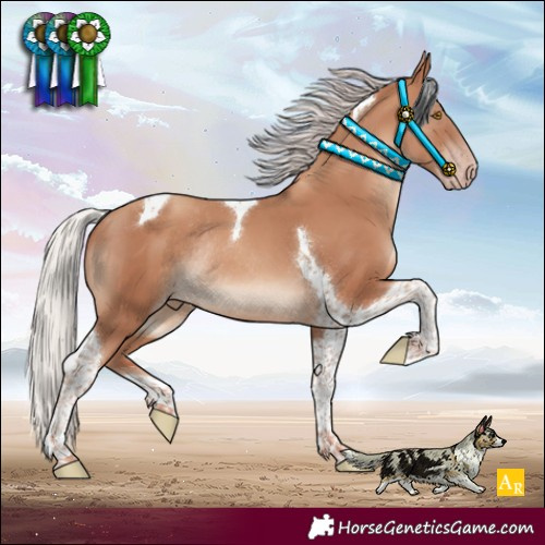 Horse Color:Silver Classic Champagne Tobiano Rabicano 