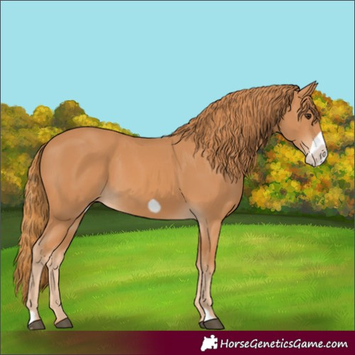 Horse Color:Chestnut Frame