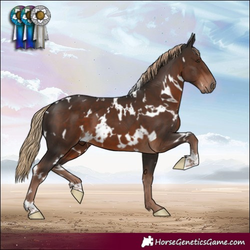 Horse Color:White Spotted Liver Chestnut