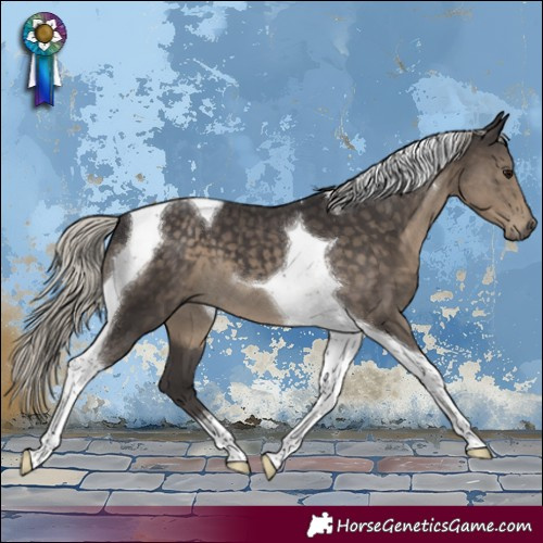 Horse Color:Silver Smoky Black Tobiano 