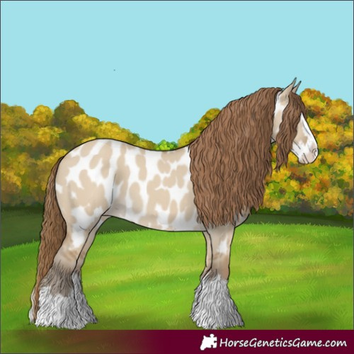 Horse Color:Classic Cream Champagne Dun Splash Near Leopard