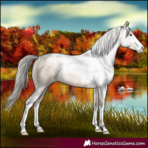 Horse Color:Silver Brown Roan Dun Sabino Rabicano 