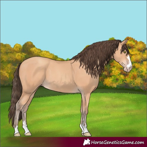 Horse Color:Unknown 