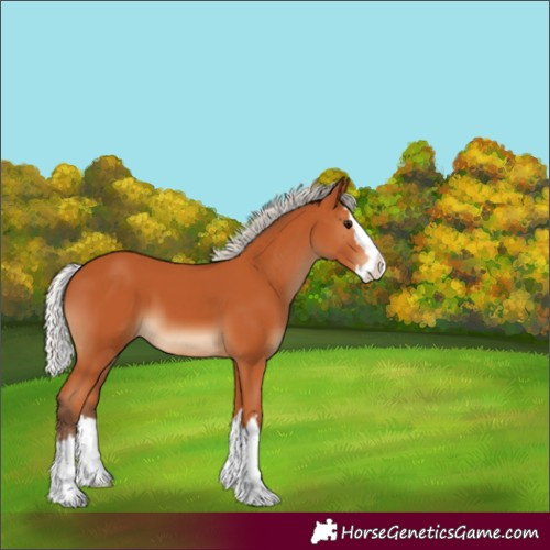 Horse Color:Silver Bay Splash