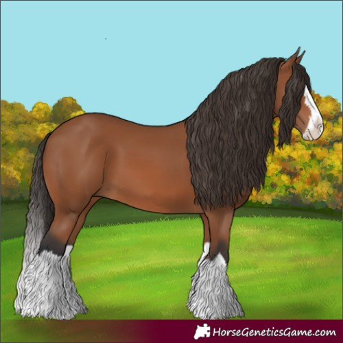 Horse Color:Bay Splash 
