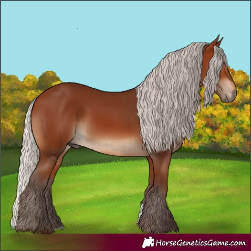 Horse Color:Silver Brown