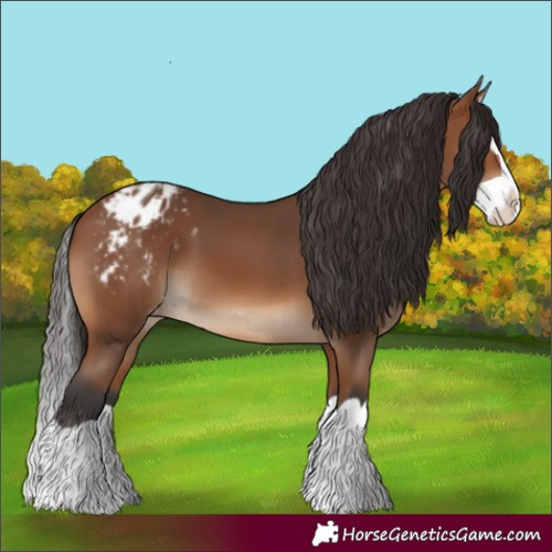 Horse Color:Bay Splash Varnish 