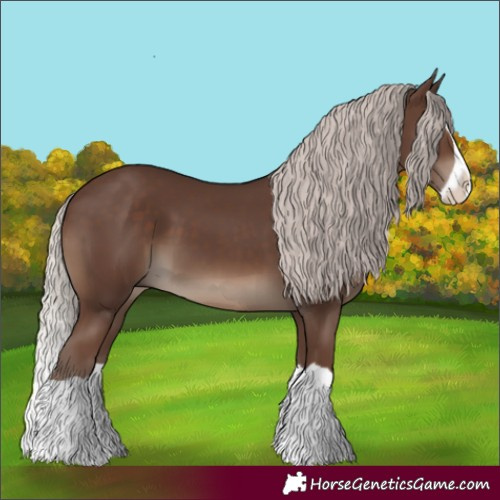 Horse Color:Silver Black Splash 