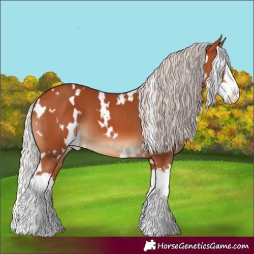 Horse Color:White Spotted Silver Bay Splash 