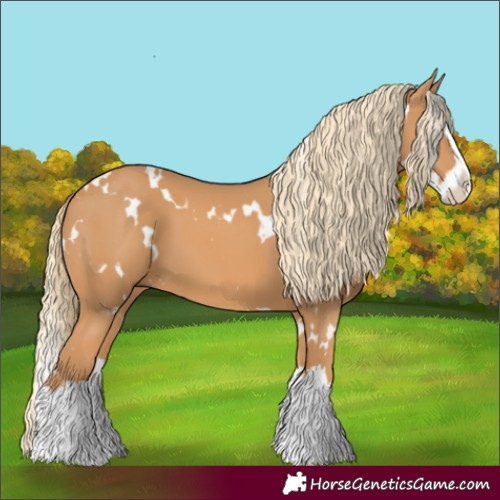 Horse Color:White Spotted Chestnut Splash 