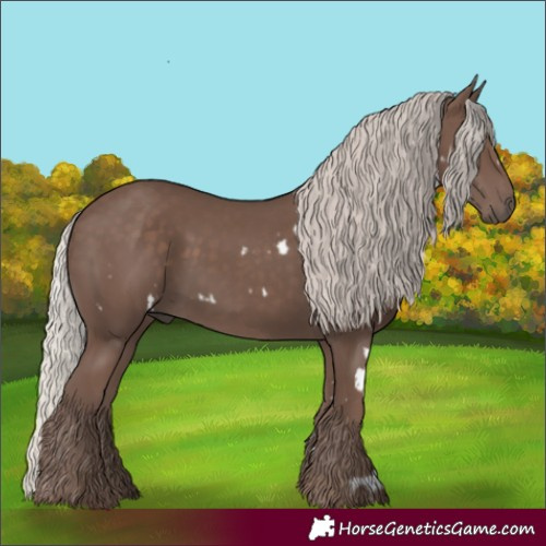 Horse Color:White Spotted Silver Black