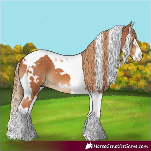 Horse Color:White Spotted Chestnut Splash Tobiano