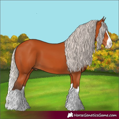 Horse Color:Silver Bay Splash 