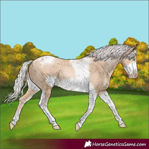 Horse Color:Silver Smoky Black Pearl Tobiano Frame 