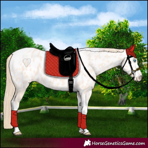 Horse Color:Perlino Tobiano Near Leopard 