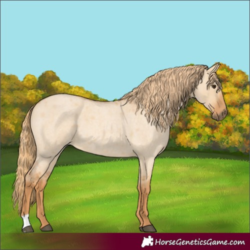Horse Color:Unknown 