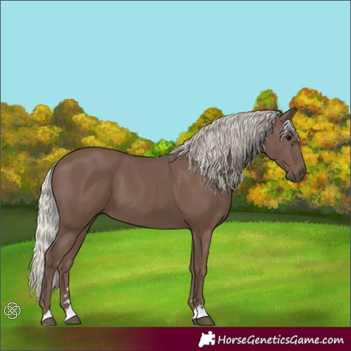 Horse Color:Silver Black 