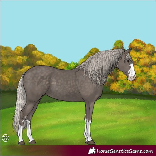 Horse Color:Silver Black