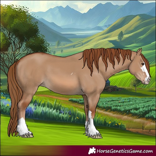Horse Color:Red Dun 