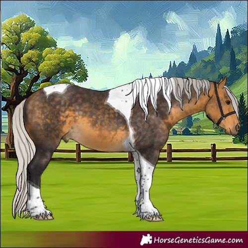 Horse Color:Silver Buckskin Tobiano