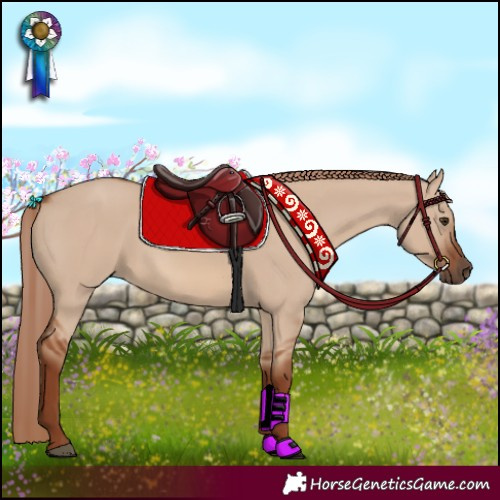 Horse Color:Red Dun