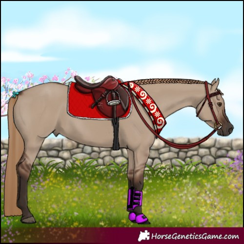 Horse Color:Liver Red Dun 