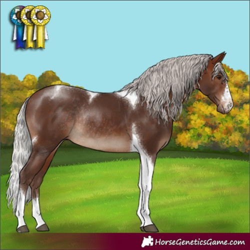 Horse Color:Silver Brown Tobiano Rabicano 