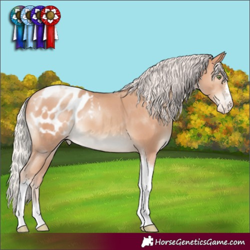 Horse Color:Silver Amber Champagne Tobiano Varnish 