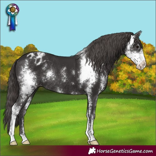 Horse Color:Smoky Black Sabino Varnish Rabicano 
