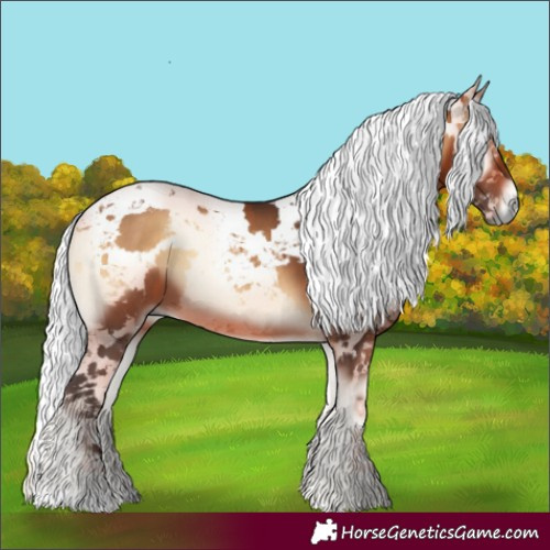 Horse Color:Bay Onyx Harlequin Merle 