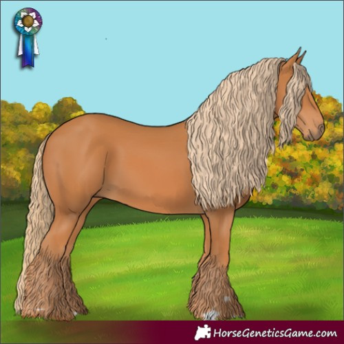 Horse Color:Chestnut 