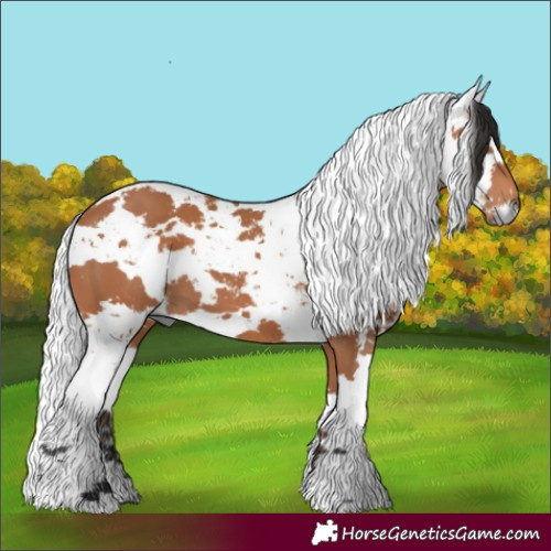 Horse Color:Bay Harlequin Merle 