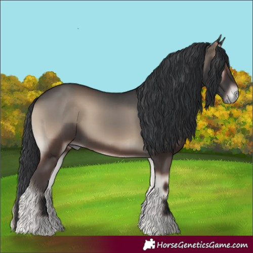 Horse Color:Blue Onyx