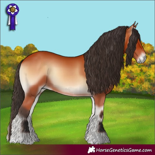 Horse Color:Bay Onyx 