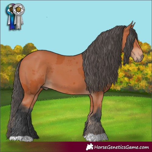 Horse Color:Bay Merle 