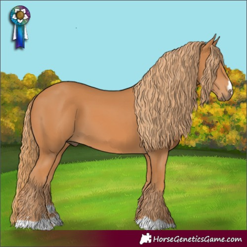 Horse Color:Chestnut 