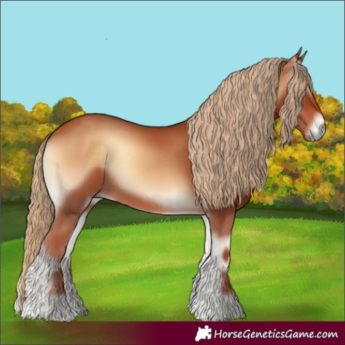 Horse Color:Red Onyx 