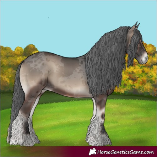 Horse Color:Blue Onyx Merle 