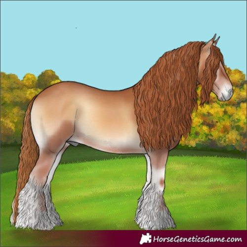 Horse Color:Red Onyx 