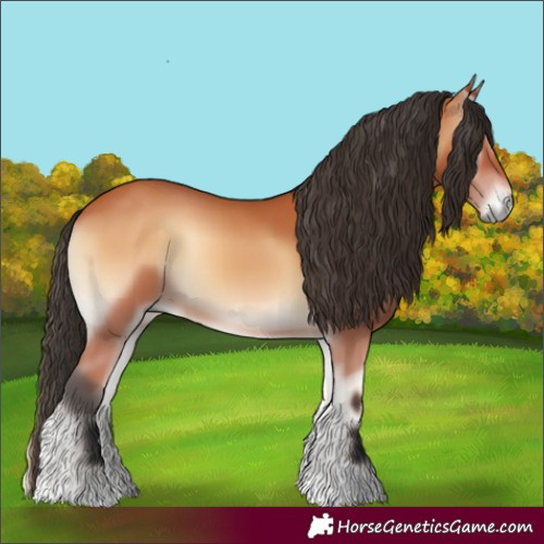 Horse Color:Bay Onyx 