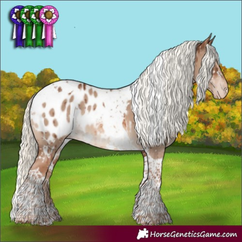 Horse Color:White Spotted Red Dun Mushroom Tobiano Blanket Rabicano Brindle 