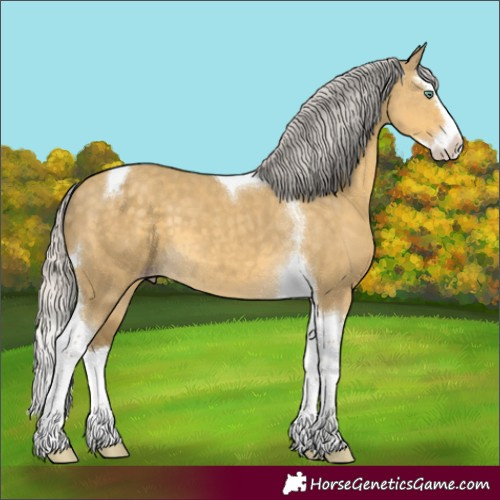 Horse Color:Silver Classic Cream Champagne Dun Splash Tobiano