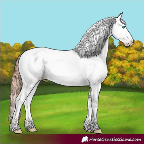 Horse Color:Sable Champagne Pearl Dun Sabino Near Leopard