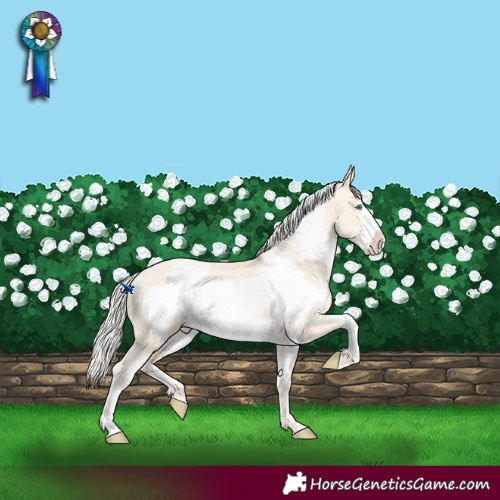 Horse Color:White Spotted Silver Sable Cream Champagne Pearl Frame 