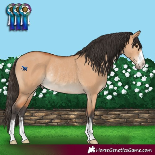 Horse Color:Bay Dun Rabicano 