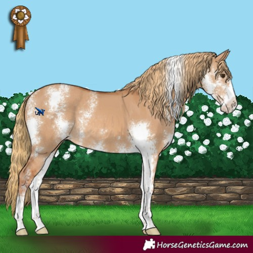 Horse Color:Red Dun Sabino Rabicano 