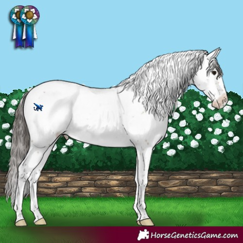 Horse Color:Bay Dun Sabino Blanket Rabicano 